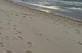 Wave Międzyzdroje Resort & SPA - C857 by Sealuu - Foto 38