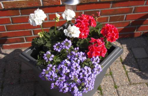 Haus Sabine - Foto 9