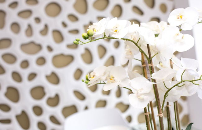 James' Place at Castle Cottage - Foto 13