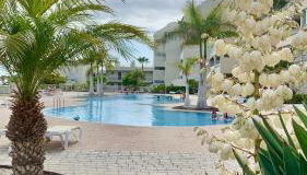 Apartamento Las Palmeritas Palm Mar Tenerife Sur - Foto 4