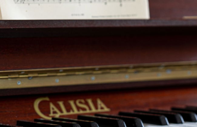 The Terrace - Bright Characterful and Near Beaches - Foto 22