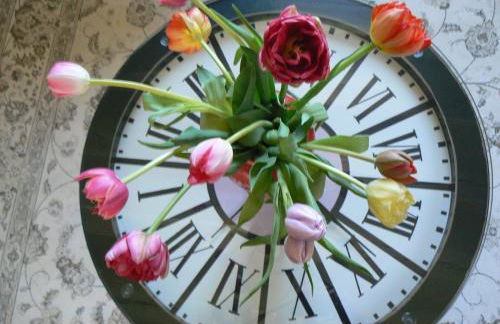 Petite Maison Romantique au calme, Cœur Historique, vue Ville et Jardin - Foto 18