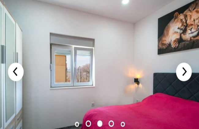 Apartments Andrea - Foto 3