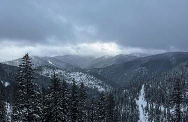 The Pines- Your Luxury Wallace Adventure Base - Foto 12