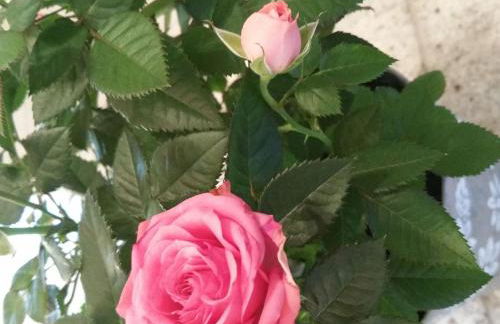 Modern apartment with 2 bathrooms in Lirstal - Foto 54