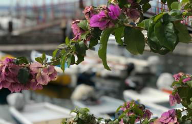 La Grotta - Photo 15