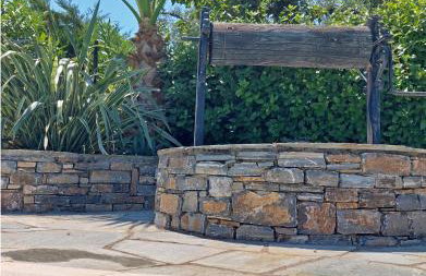 Equus & cella - Photo 41