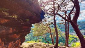 Heimatliebe Wohnung FÜNF - Foto 2