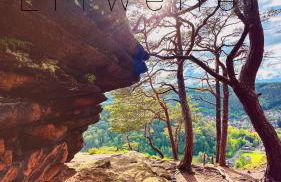 Heimatliebe Erfweiler Wohnung ZWÄ - Foto 6