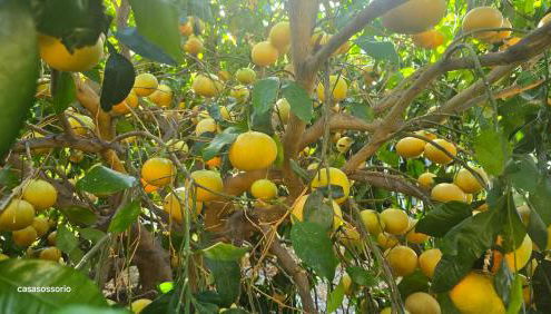 Galeón Ossorio Vistas Panoramicas - Foto 2