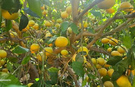 Galeón Ossorio Vistas Panoramicas - Foto 2