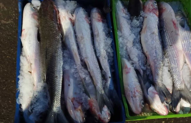 Luxurious House in Morocco Overlooking the Mediterranean Sea - Photo 15