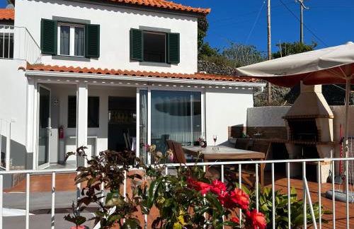 Tropical Garden - Photo 62