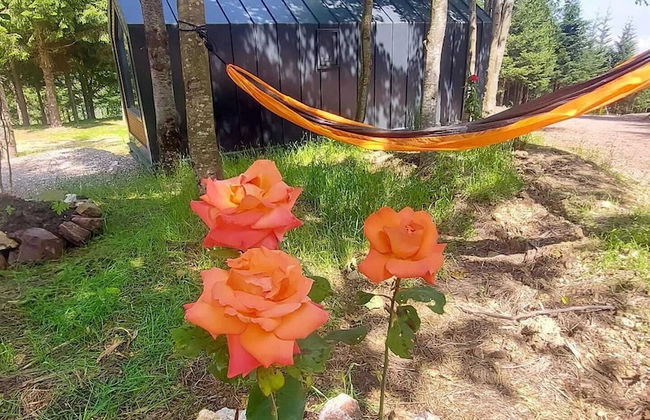 Tumba Sisli Vadi - Foto 52