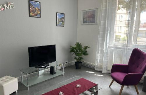 Appartement T3 très calme - Le Bartholdi - Centre de Colmar - Photo 5