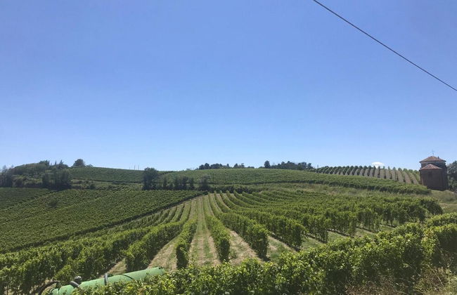 Cascina Liebe Whirlpool Sauna Monferrato CXL OCT 2023 - Foto 99