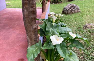 Recanto da Paz - Vale da Prata - Foto 19