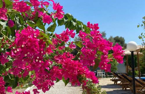 Anastasia Apartments - Foto 70