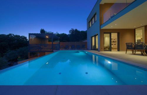 Villa Viverum with heated salt water pool - Photo 6