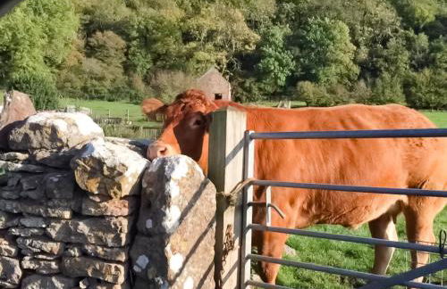 Goose Feather Barn, Wedmore luxury cottage for two - Foto 17