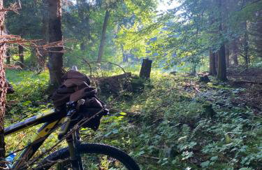 Domki Pod Lasem - Domek Sosnowy - Foto 42