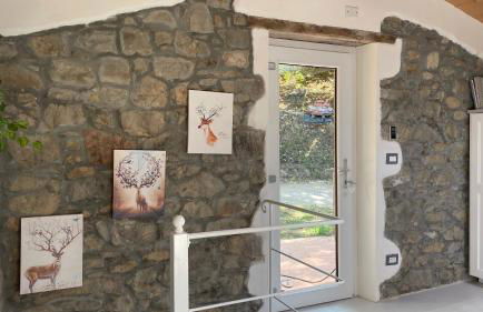 Metato con piscina e giardino - Foto 3