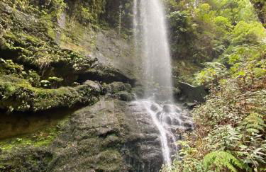 Mar de Lava - Foto 52