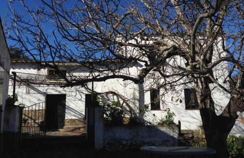 Puerto los Pinos - Foto 12