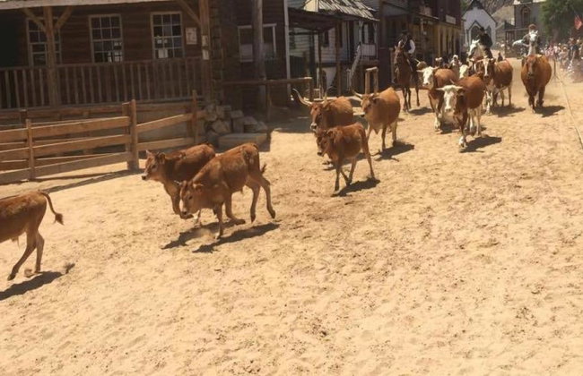 Entrada a Sioux City Park - Foto 1