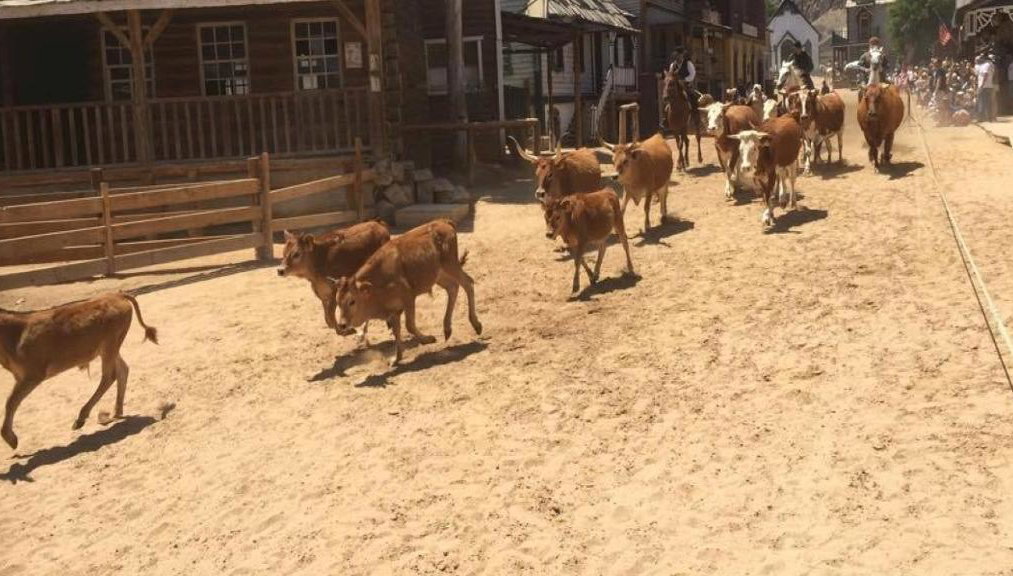 Entrada a Sioux City Park - Foto 1