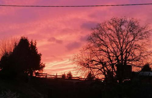 Das Spatzennest - Photo 22