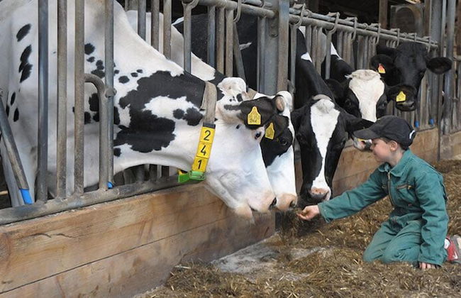 Bernis Ferienhaus - Foto 21