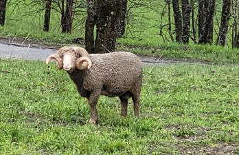 Les Bottières 73300 T3 50m2 4 à 6 pers - Foto 25