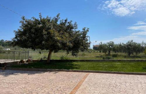 La casa di Michela - Foto 2