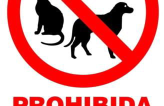 Casa Flamenca - Foto 73