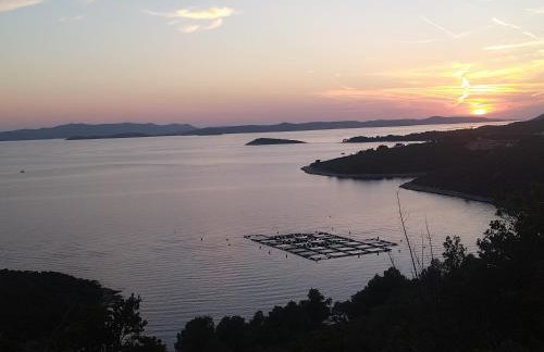 Apartment Vuletic, Ždrelac Pašman - Foto 38