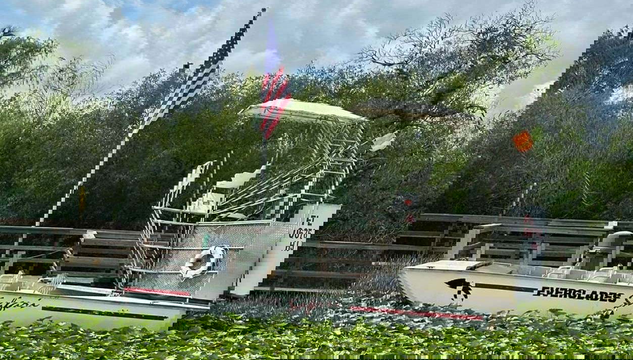 Balade en aéroglisseur dans les Everglades