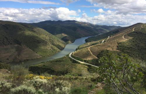 Casa da Muralha - Foto 48