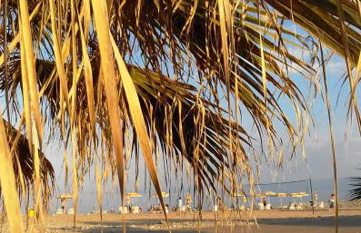 Residence Torre Saracena - Foto 13