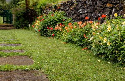 Quinta da Nasce Água - Foto 23