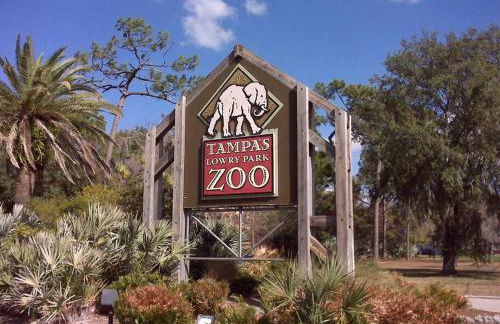 Green house - Foto 24