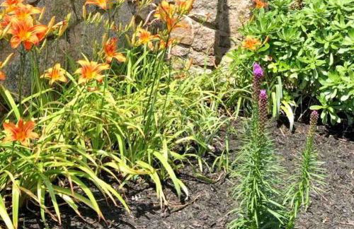 Direct Waterfront 4 Bedroom Beach House With Stunning LI Sound Views & Private Beach - Foto 41