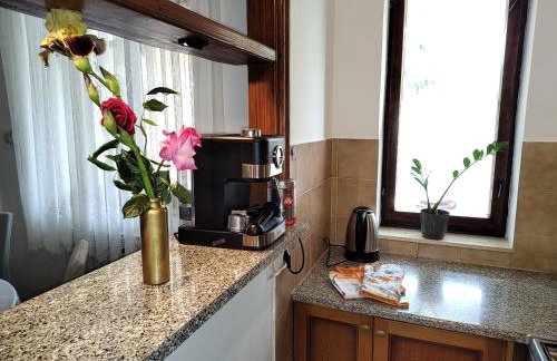 Spacious apartment QuAdria near Motovun - Foto 16