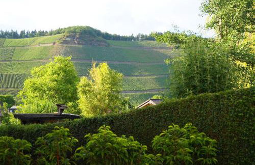 Mosel-Auszeit - Foto 18