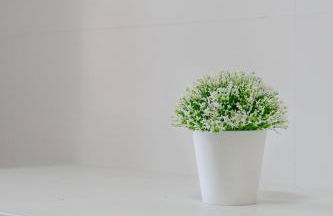 CASA CHARROS - Foto 20