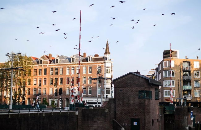 SWEETS - Kattenslootbrug - Photo 14