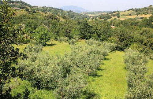 Holiday Villa in Sabina with Private Pool - Foto 38