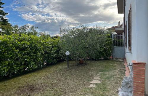 Il nido dell'abete - Foto 10