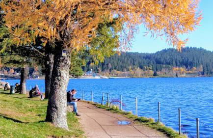 Ferienwohnung "Il Paradiso" in Schluchsee mit Dachterrasse und Seeblick - Foto 45