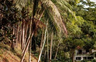 Casas Serranas - Villa Casa Blanca - Photo 27